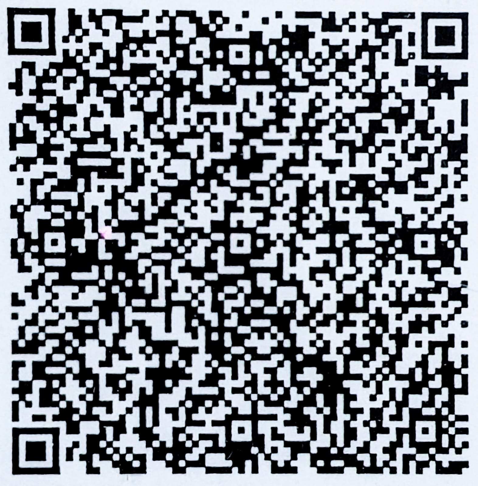 UPI QR Code